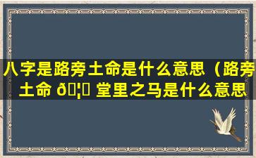 八字是路旁土命是什么意思（路旁土命 🦄 堂里之马是什么意思 🐛 ）